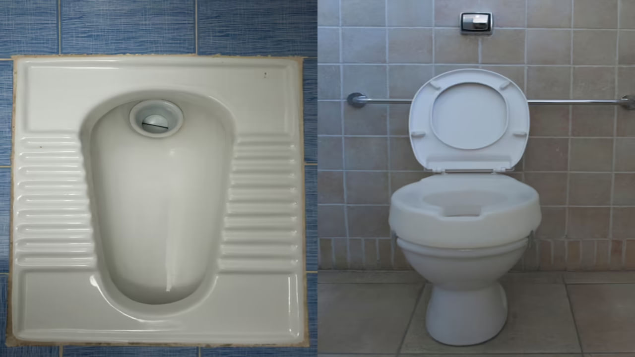 Indian Vs Western Toilets: ఇండియన్‌ టాయిలెట్‌.. వెస్ట్రన్‌ టాయిలెట్‌.. ఏది ఆరోగ్యానికి మంచిది?
