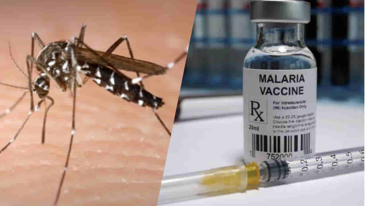 Malaria Vaccine: ఇక మలేరియా మటాష్.. హైదరాబాద్లో తొలి స్వదేశీ వ్యాక్సిన్ తయారీ..