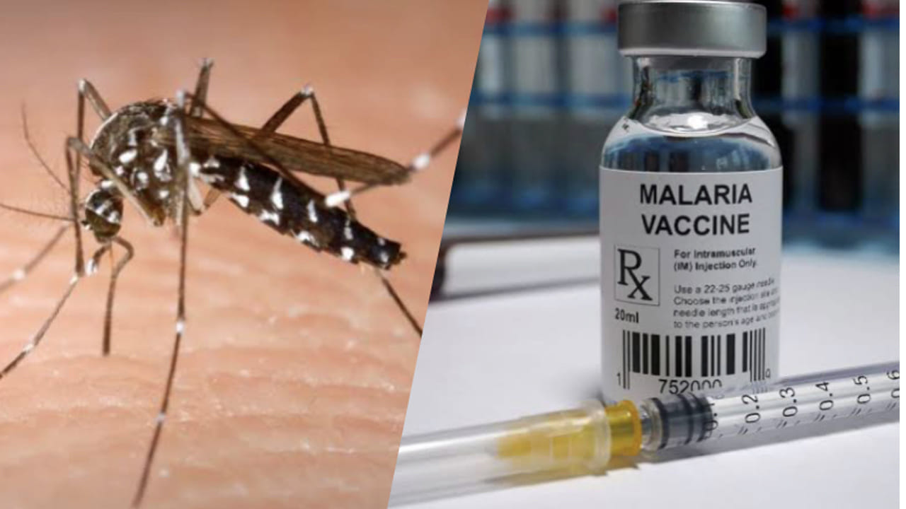 Malaria Vaccine: ఇక మలేరియా మటాష్.. హైదరాబాద్లో తొలి స్వదేశీ వ్యాక్సిన్ తయారీ..