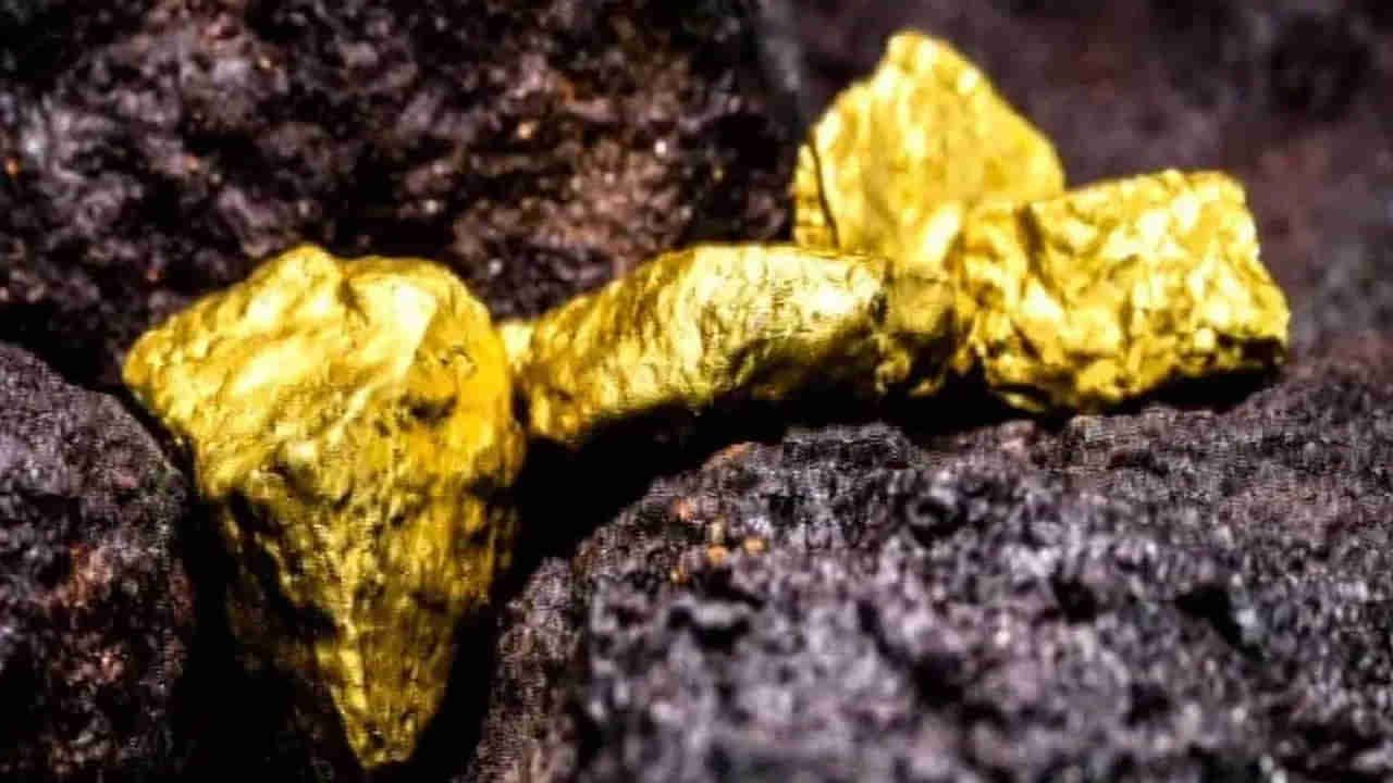 Gold: దేశానికి ప్రతి ఏటా 1000 కిలోల బంగారం ఇవ్వనున్న ఏపీ.. త్వరలోనే ఉత్పత్తి స్టార్ట్..