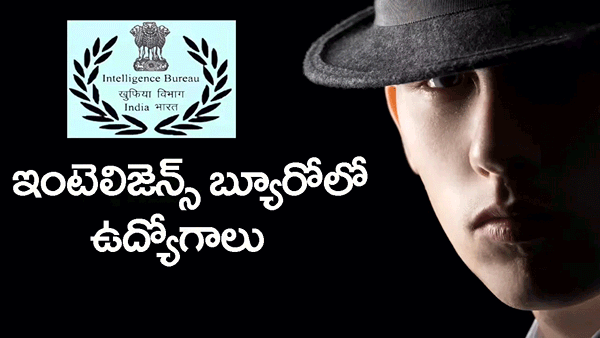 IB Job Notification 2025: పదో తరగతి అర్హతతో.. ఇంటలీజెన్స్ బ్యూరోలో భారీగా ఉద్యోగాలు! లక్షల్లో జీతం..