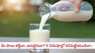 Cleaning Tips: అయ్యయ్యో.. మీకు ఇష్టమైన బట్టలపై నూనె పడిందా? కేవలం ఈ రెండు వస్తువులు ఉంటే చాలు ఇట్టే పోతాయ్..