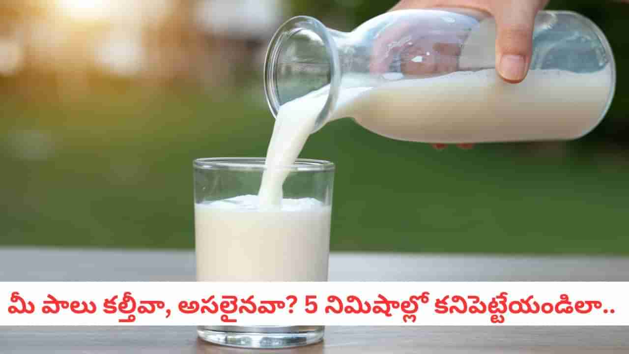 Milk Test: మీరు తాగే పాలలో డిటర్జెంట్, యూరియా ఉందో లేదో.. చిటికెలో తెలుసుకోండిలా..