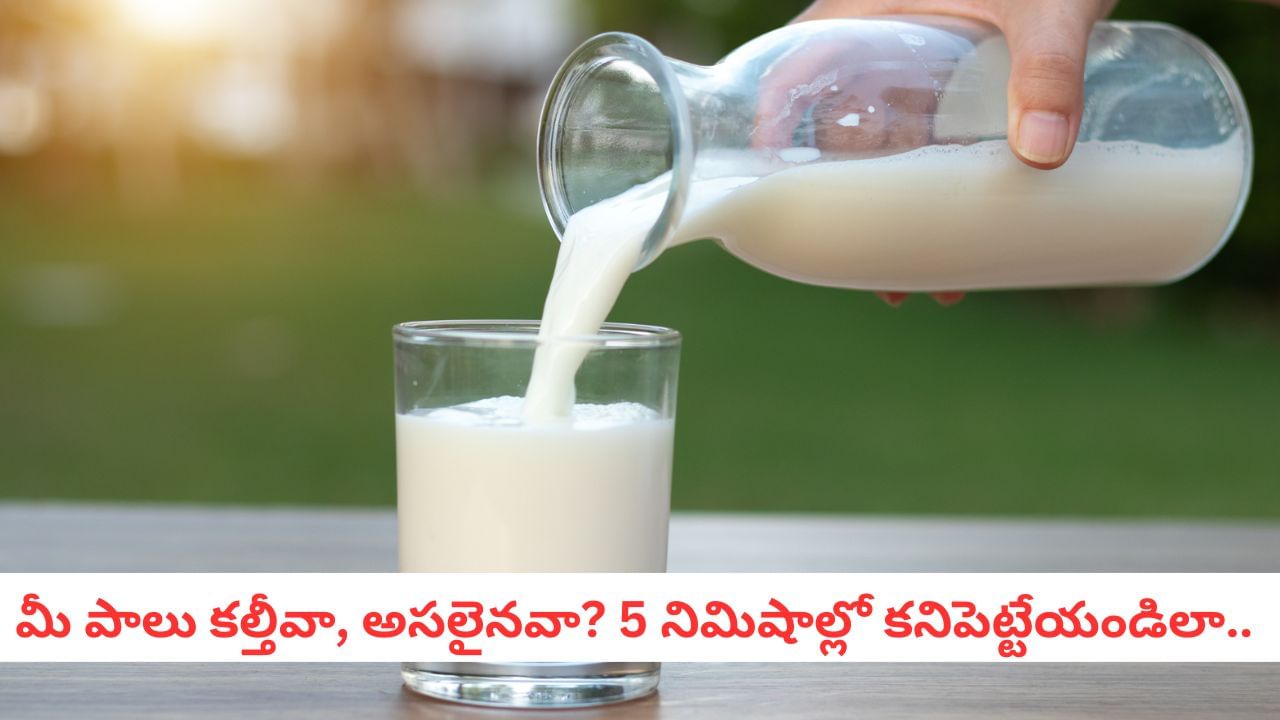 Milk Test: మీరు తాగే పాలలో డిటర్జెంట్, యూరియా ఉందో లేదో.. చిటికెలో తెలుసుకోండిలా..