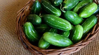 Liver Cure:మందు తాగి లివర్ పాడైందా?.. గోరింటాకే విరుగుడంటున్న సైంటిస్టులు..