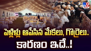 చిన్న జీతంతో సంతోషంగా బతికా.. ఇప్పుడు లక్షల జీతంతో నరకం చూస్తున్నా
