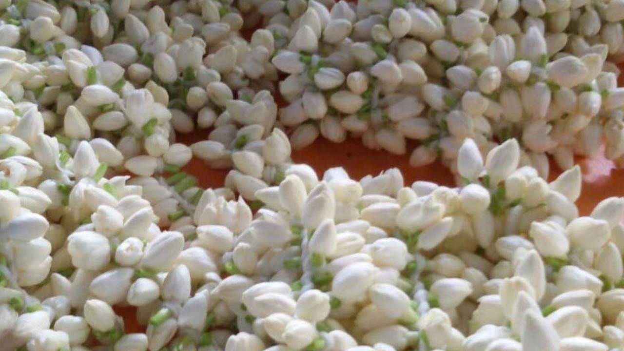 మల్లెపూలు అంటే చాలా మందికి ఇష్టం ఉంటుంది. అందుకే మహిళలు మల్లెపూలను ఎక్కువగా ఇష్టపడతుంటారు. ఏ చిన్న ఫంక్షన్ జరిగినా సరే ఎక్కువగా మల్లెపూలు పెట్టుకోవడానికే ఆసక్తి చూపుతుంటారు. అయితే మల్లెపూలు జుట్టు అందాన్ని పెంచడమే కాకుండా వీటితో ముఖసౌందర్యం కూడా పెరిగే ఛాన్స్ ఉన్నదంట. అది ఎలానో ఇప్పుడు మీరే చూసెయ్యండి.