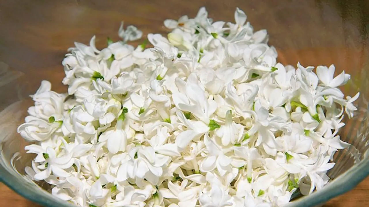 ముఖ్యంగా చర్మ ఆరోగ్యానికి చాలా మంచిదంట. ఫేస్ గ్లో పెంచడంలో ఇది కీలక పాత్ర పోషిస్తుందంట. మల్లెపూలను నీటిలో వేసి, ఆ నీళ్లను ఫేస్కు అప్లై చేయడం వలన ముఖం మిల మిల మెరిసిపోతుందంట. ఈ నీరు చర్మాన్ని హైడ్రేట్ చేసి, చర్మం కాంతి వంతంగా మెరిసేలా చేస్తాయంట.