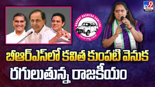 SVSN Varma: పిఠాపురం మాజీ ఎమ్మెల్యే వర్మకు ప్రభుత్వ భద్రత.. కీలక పదవి దక్కనుందా..?