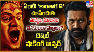 Allu Sirish: త్వరలో పెళ్లిపీటలెక్కనున్న హీరో అల్లు శిరీష్! అమ్మాయి ఎవరంటే?