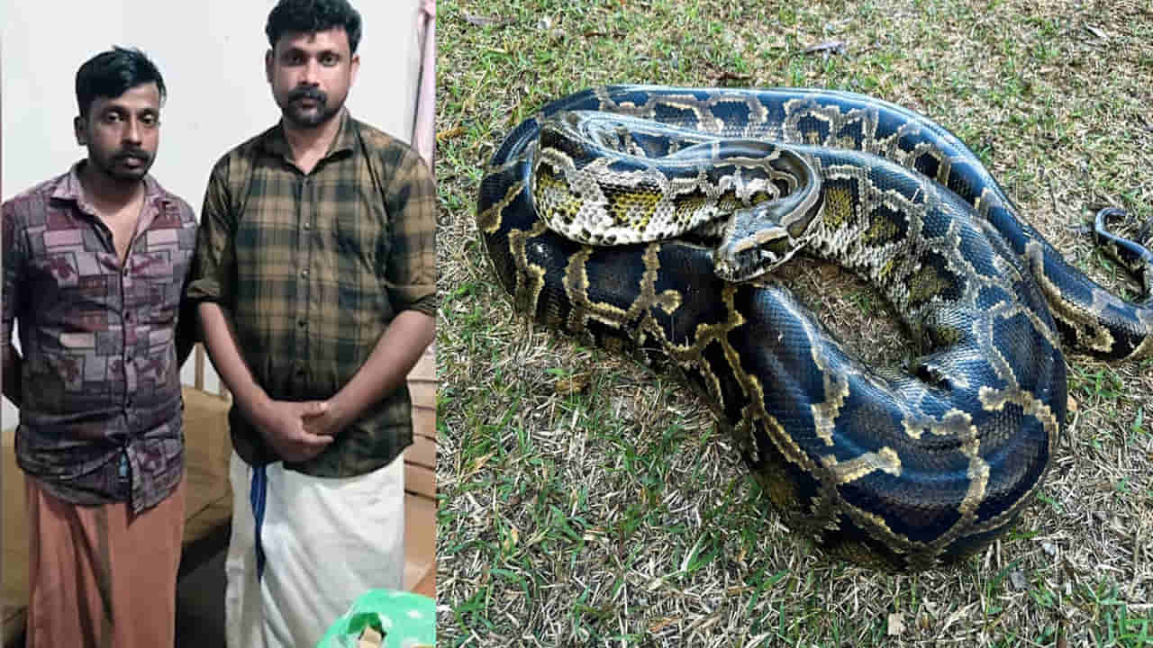 Shocking News: మరీ ఇలా తయారయ్యారేంట్రా బాబు.. కొండచిలువను చంపి.. దాని మాంసంతో ఏం చేశారంటే!