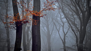 వినాయక నిమజ్జనంలో ఘోరం.. యముడిలా దూసుకొచ్చిన ట్యాంకర్.. స్పాట్‌లోనే 8మంది..