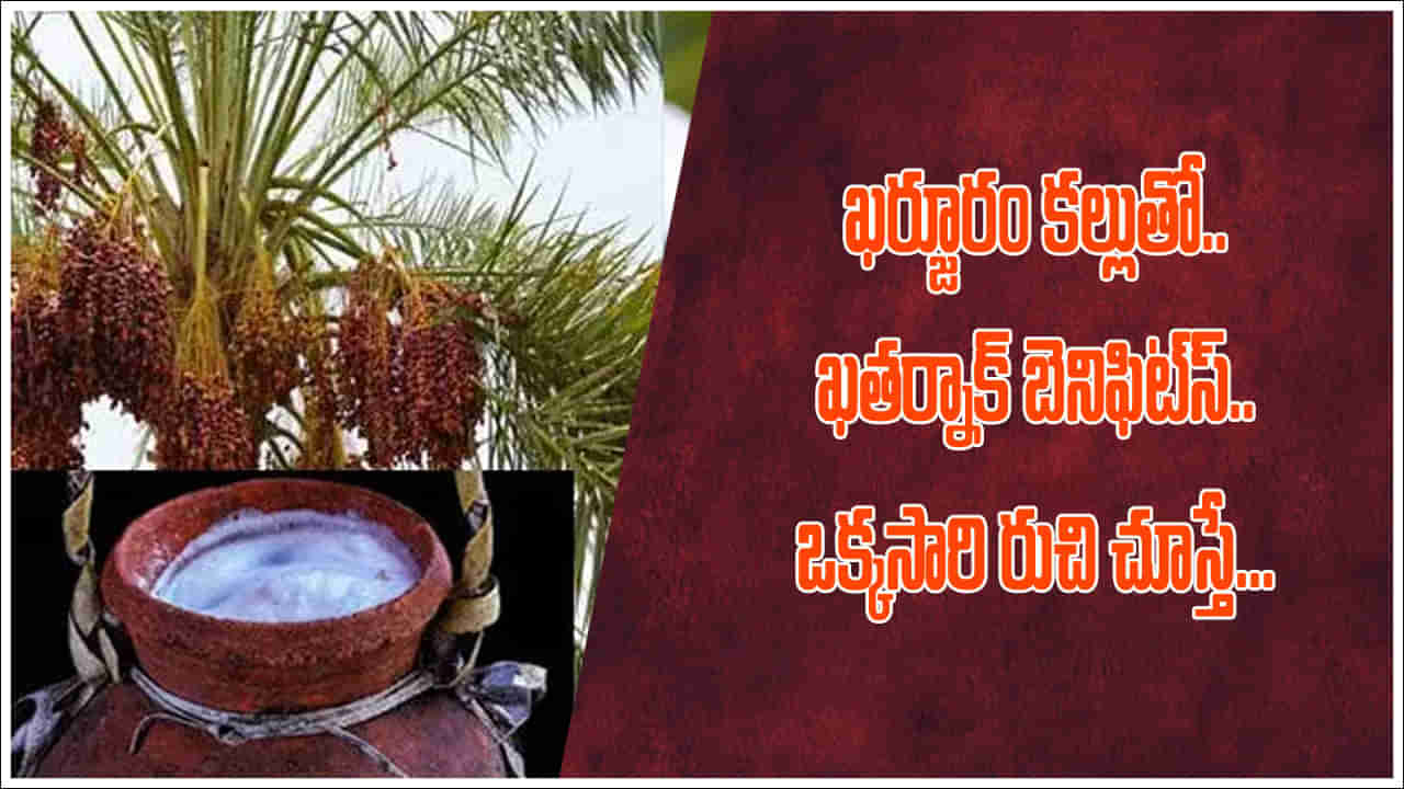 Kharjura Kallu: ఖర్జూర కల్లుతో ఖతర్నాక్ బెనిఫిట్స్.. ఆరోగ్య ప్రయోజనాలు తెలిస్తే..