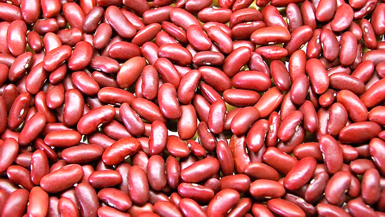 Kidney Beans