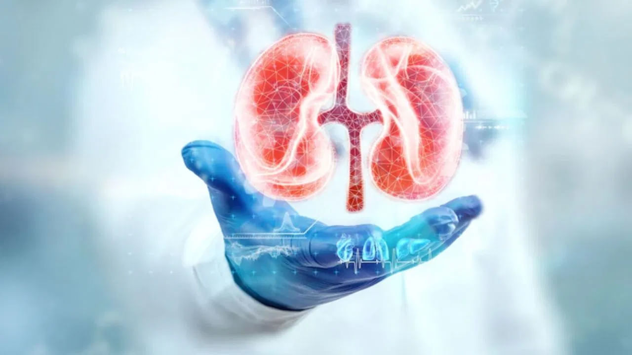 Kidney Health