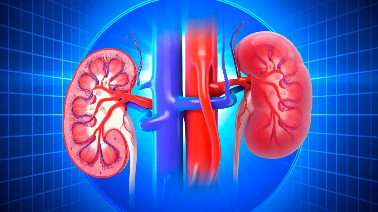 Kidney Health