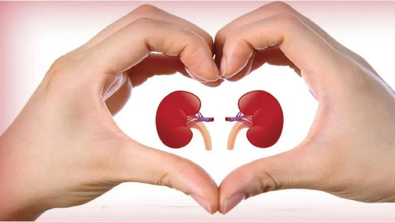 Kidney Health