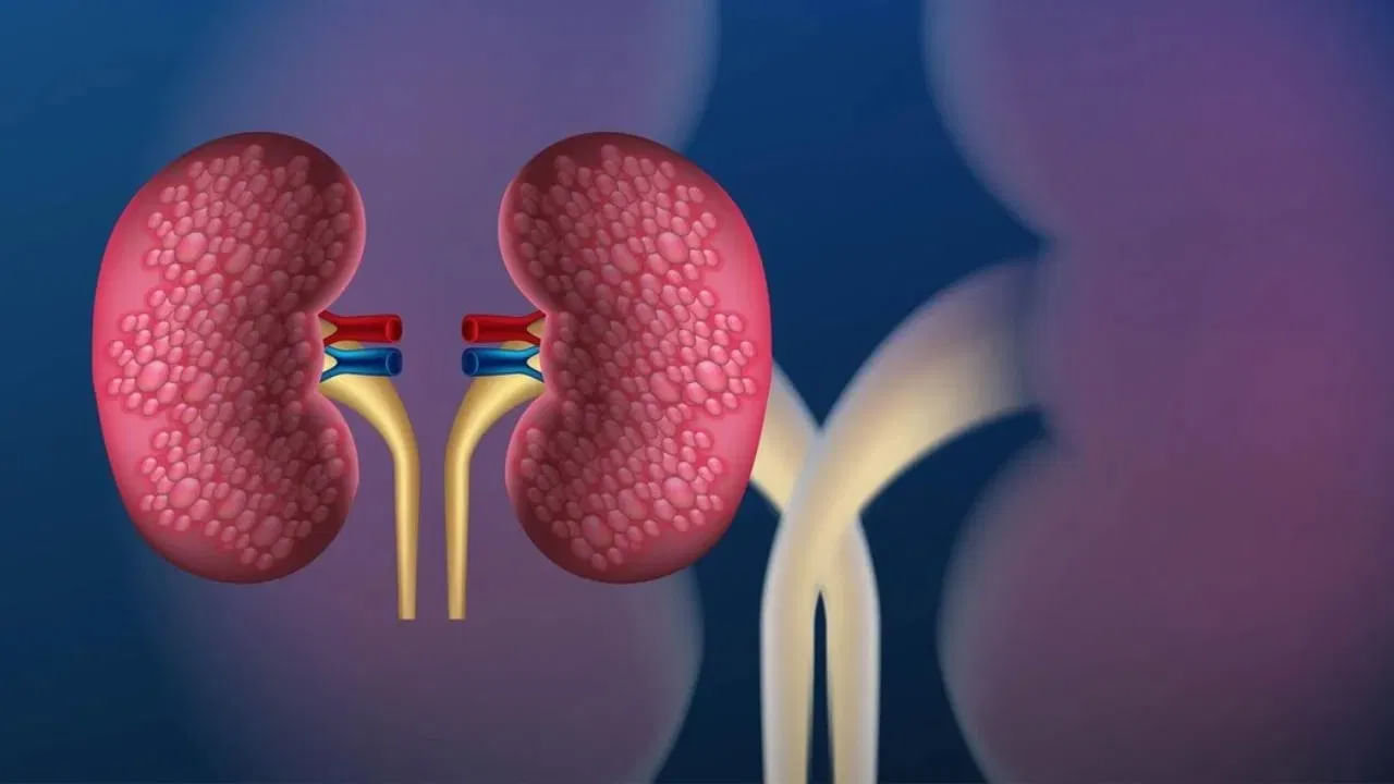 Kidney Health