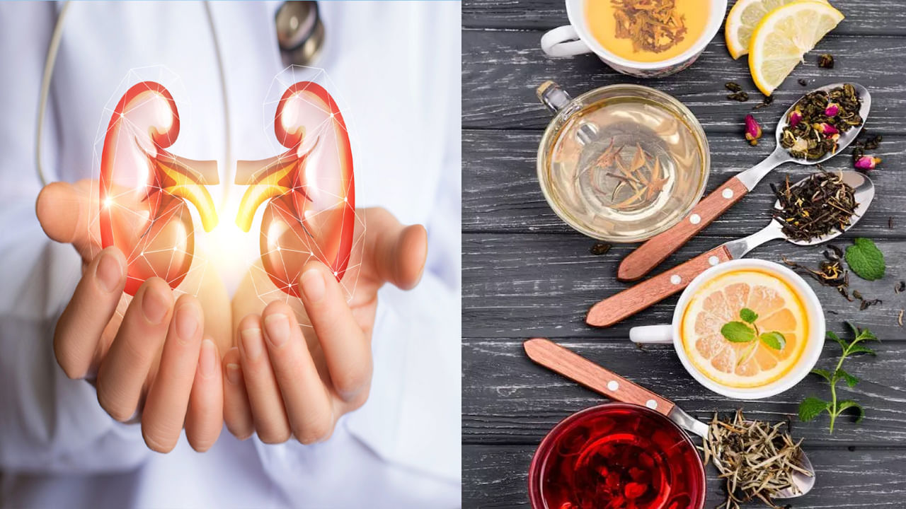 మూత్రపిండాలు మన శరీరంలోని అతి ముఖ్యమైన అవయవాలలో ఒకటి. ఇవి రక్తాన్ని శుభ్రపరుస్తాయి. శరీరం నుంచి విషాన్ని తొలగిస్తాయి. రక్తపోటును నియంత్రించడంలో సహాయపడతాయి. అయితే ప్రస్తుతం ప్రతి ఒక్కరూ బిజీ బిజీగా జీవితాన్ని గడుపుతున్నారు. దీంతో కిడ్నీలను జాగ్రత్తగా చూసుకోవడంలో కొంచెం నిర్లక్షం వహిస్తున్నారు. అటువంటి పరిస్థితుల్లో మీరు మీ మూత్రపిండాలను ఆరోగ్యంగా ఉంచుకోవడానికి కొన్ని సులభమైన మార్గాలను అవలంబించవచ్చు. అవును రోజూ తగినంత నీరు త్రాగడం, సమతుల్య ఆహారం తినడం ముఖ్యం. అయితే కొన్ని హెర్బల్ టీలు కూడా మూత్రపిండాలకు వరంలా పనిచేస్తాయని మీకు తెలుసా? అవి ఏమిటంటే.. 