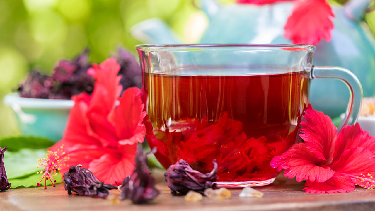 
మందార టీ: మందార టీని మూత్రపిండాలకు స్నేహితుడు అంటారు. ఇందులో ఆంథోసైనిన్లు ఉన్నాయి. ఇవి మూత్రపిండాలను ఆక్సీకరణ ఒత్తిడి నుంచి రక్షిస్తాయి. రక్తపోటును తగ్గించడంలో కూడా సహాయపడుతుంది.. (రక్త పోటే మూత్రపిండాల వ్యాధులకు ప్రధాన కారణం). తయారుచేసే విధానం: ఎండిన మందార పువ్వులు లేదా రేకులను వేడి నీటిలో వేసి 5-10 నిమిషాలు అలాగే ఉంచి.. వడకట్టి త్రాగాలి.
