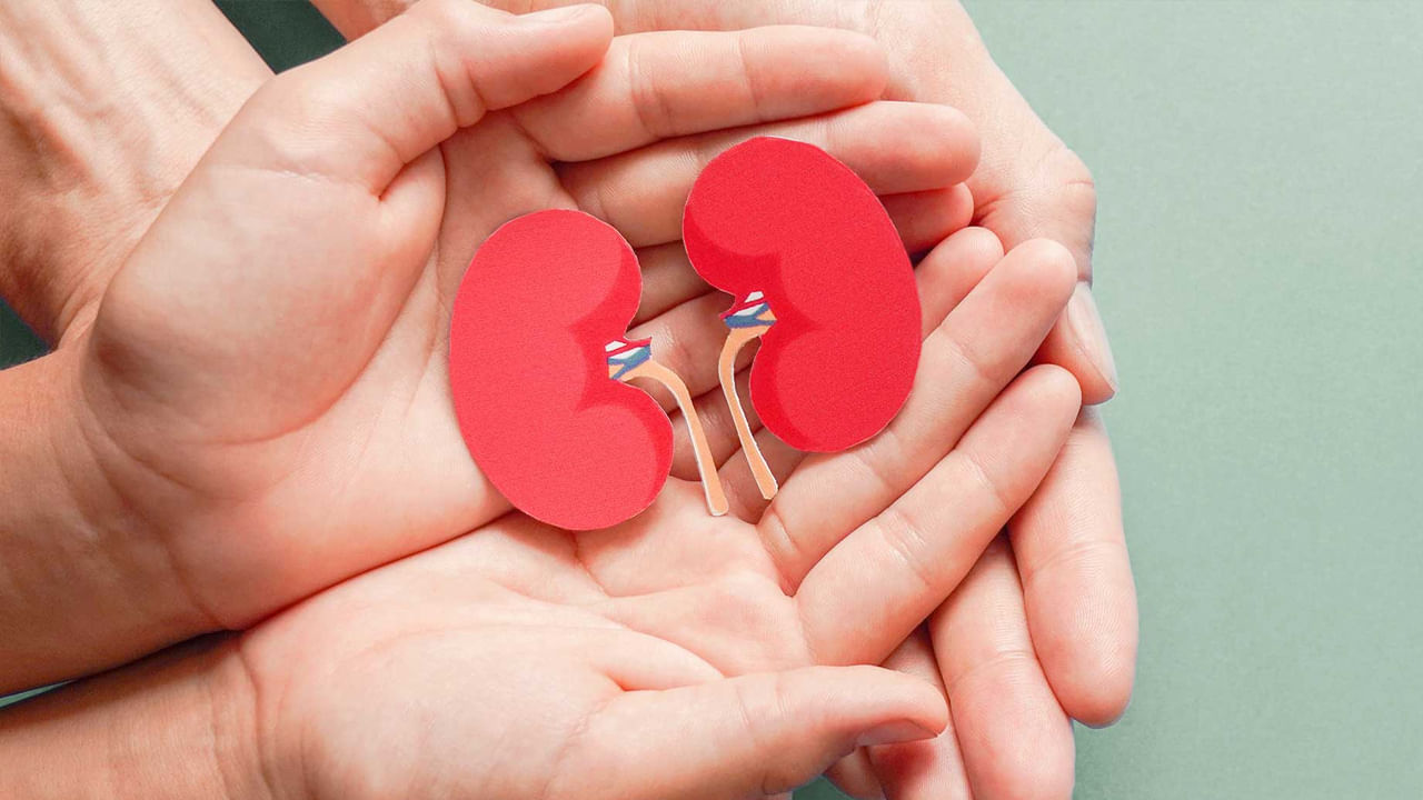 ముఖ్యంగా ఎవరికైనా మూత్రపిండాల సమస్యలు ఉంటే..  వైద్యుడిని సంప్రదించిన తర్వాతే ఈ హెర్బల్ టీలను మీ ఆహారంలో చేర్చుకోండి. ఆరోగ్యకరమైన మూత్రపిండాలకు తగినంత నీరు త్రాగడం, సమతుల్య ఆహారం తీసుకోవడం.. క్రమం తప్పకుండా వ్యాయామం చేయడం చాలా ముఖ్యం.