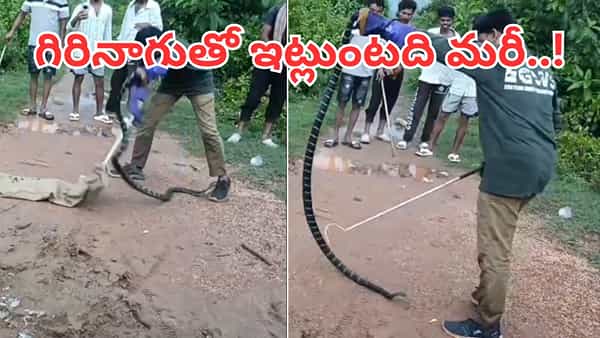 Andhra: అమ్మబాబోయ్.. కొంచెం అయితే గిరినాగు కాటేసేది.. వీడియో చూస్తే ఒళ్లు ఝల్లుమనాల్సిందే..