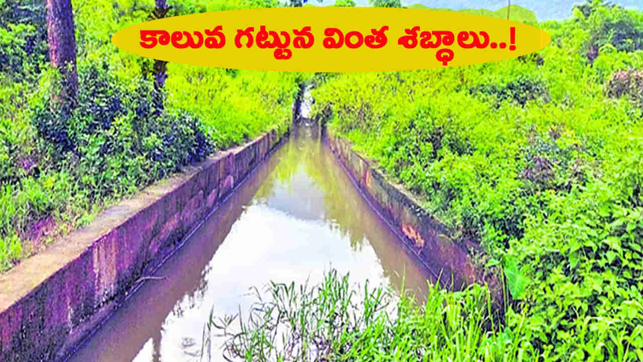 కాలువలో రైతుకు వినిపించిన వింత శబ్ధాలు.. తొంగి చూస్తే.. షాకింగ్‌ సీన్‌..!