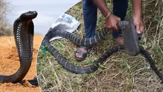 ఎంపీగారు కదా.. ఎలా వరద బురదలో అడుగు పెడతారు.. ప్రజలు భుజం ఎక్కించుకోవాల్సిందే.. వీడియో వైరల్