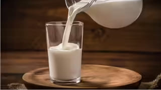 మీ ఇంట్లోకి పాములను ఆకర్షించే వస్తువులు ఇవే.. వెంటనే పడేయండి!