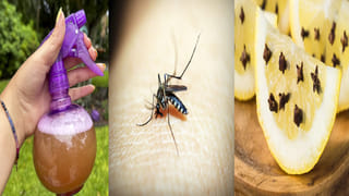 30 రోజులు స్మార్ట్‌ఫోన్ లేకుండా బతికిన వ్యక్తి.. చివరికి ఏమైందో తెలిస్తే షాక్‌ అవ్వాల్సిందే..!