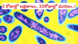 అరుదైన ఘటన.. నాలుగో కాన్పులో నలుగురికి జన్మ.. ఇక్కడే బిగ్ ట్విస్ట్..!