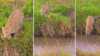 సరదాగా డీఎన్‌ఏ టెస్ట్‌ చేయించుకుంది.. కట్ చేస్తే సీన్ మారింది.. అసలు గుట్టు బయటపడింది