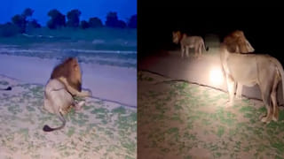 Watch Video: పడుకుందామని బెడ్‌రూమ్‌లోకి వెళ్లిన యువకుడు.. దుప్పట్లో వింత శబ్ధాలు.. ఏంటా అని చూడగా..