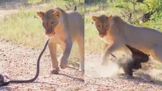 వారెవ్వా..! బోజ్‌పురి సాంగ్‌కు దుమ్మురేపిన ఆంటీ.. వీడియో చూస్తే అవాక్కావ్వాల్సిందే..!