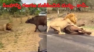 Viral Video: సముద్రంలో అగ్నిపర్వతం భారీ విస్ఫోటనం.. షాకింగ్ వీడియో వైరల్