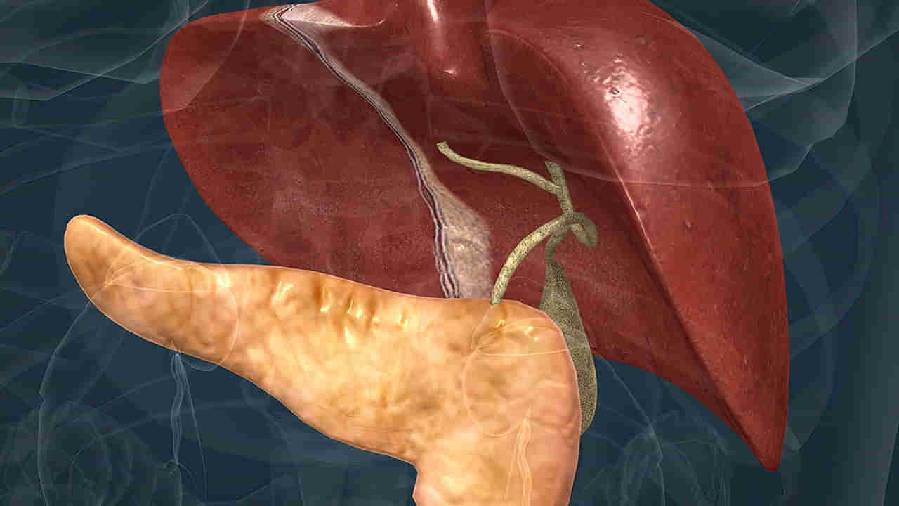 Liver Health: మన లివర్ నాశనం అవుతుందని తెలిపే సంకేతాలు ఇవే..