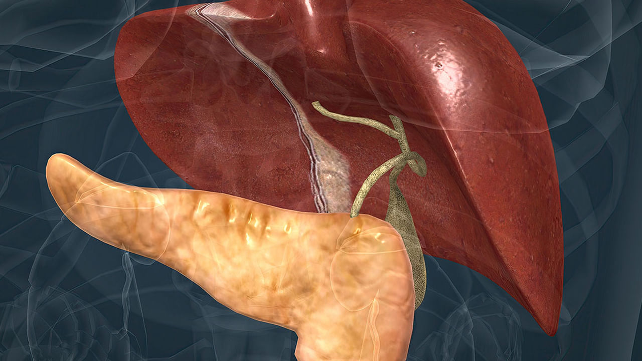 Liver Health: మన లివర్ నాశనం అవుతుందని తెలిపే సంకేతాలు ఇవే..