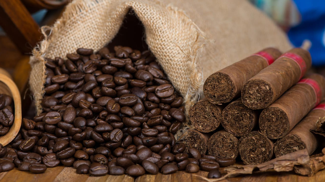 పొగాకు, కాఫీ పౌడర్తో కూడా బల్లులను ఇంటి నుంచి తరిమికొట్టవచ్చునంట. అయితే దీని కోసం ముందుగా పొగాకును , కాఫీ పొడిని ఒక బౌల్లో తీసుకొని దానిని చిన్నగా ముద్దల్లా చేసుకోవాలి. తర్వాత వాటిని బల్లలు ఎక్కువగా ఉండే ప్రదేశాల్లో పెట్టడం వలన ఆ ఘాటు వాసనకు బల్లలు ఇంటి నుంచి పారిపోతాయంట.