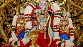 తులసిని ఆ దిక్కున ఉంచితే.. అదృష్టాన్ని మీ ఇంటికి ఆహ్వానించినట్టే