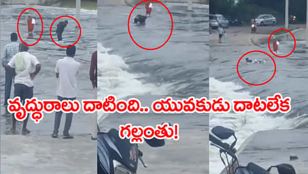 Viral Video: అలవోకగా వాగు దాటిన వృద్ధురాలు.. ఆమె వెనకే వెళ్లిన యువకుడు గల్లంతు! వీడియో వైరల్