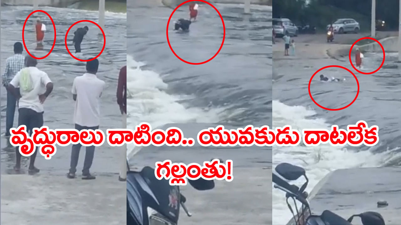 Viral Video: అలవోకగా వాగు దాటిన వృద్ధురాలు.. ఆమె వెనకే వెళ్లిన యువకుడు గల్లంతు! వీడియో వైరల్