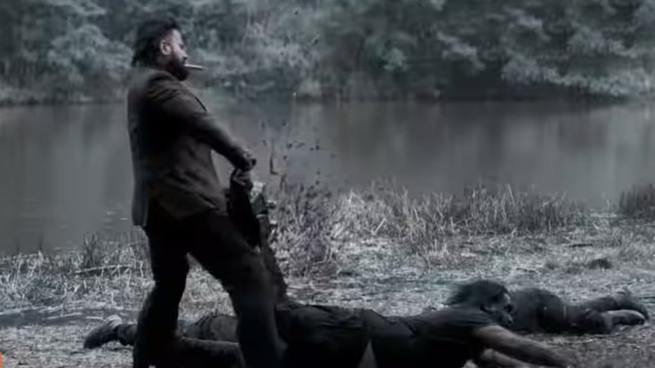 Cinema : ఈ సినిమా దెబ్బకు బాక్సాఫీస్ షేక్ మామ.. 30 కోట్లు పెడితే 115 కోట్ల కలెక్షన్స్..