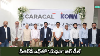 Business idea: పెట్టుబడి లేని బంతిపూల బిజినెస్! మస్తు లాభాలు.. ఇదే సీజన్!