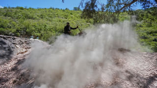 చిన్న పెట్టుబడి- పెద్ద లాభం! 10 రూపాయల ఈ మొక్క కోట్ల రాబడిని ఇస్తుంది..మార్కెట్లో భారీ డిమాండ్..