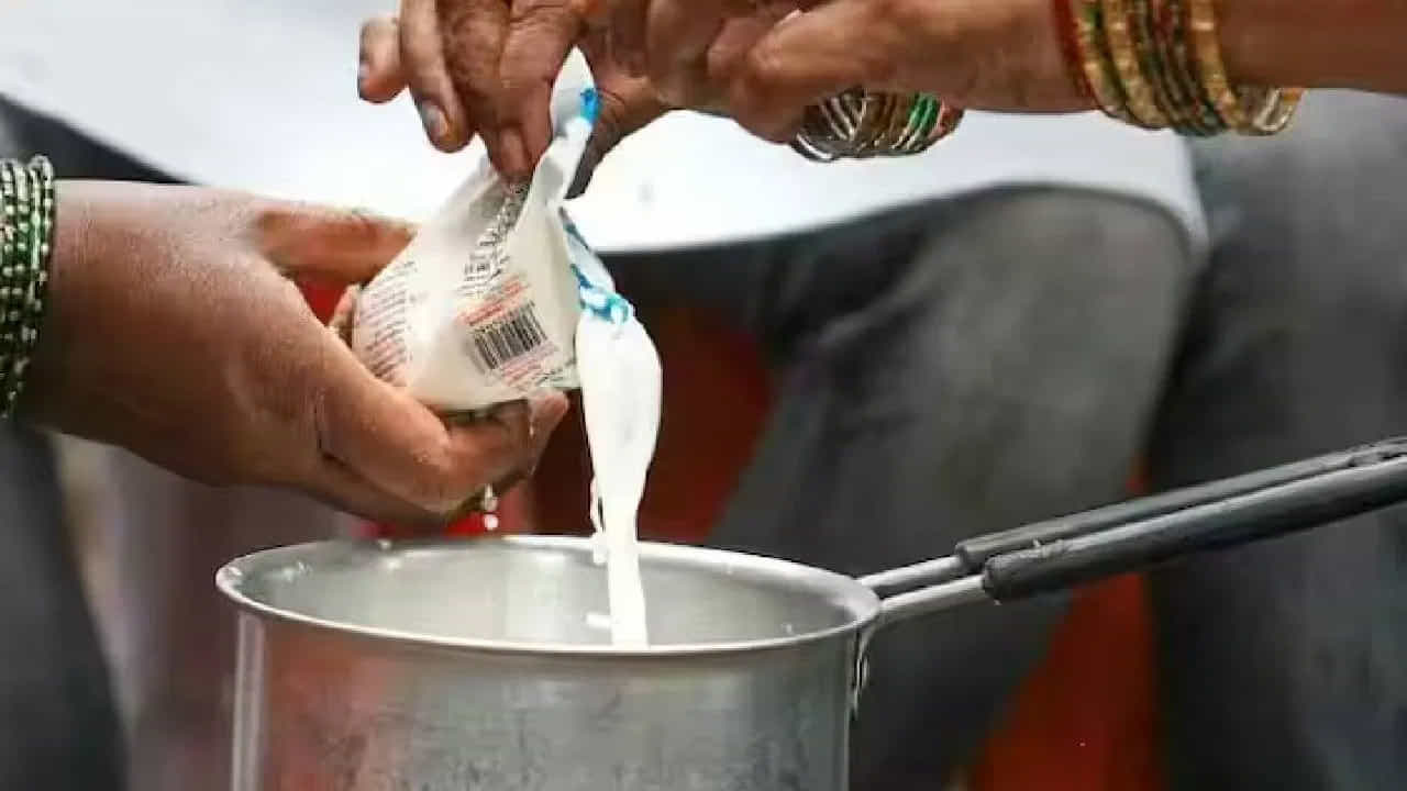 పాల రంగు : పాల రంగు కూడా దాని స్వచ్ఛతను సూచిస్తుంది. పాలను ఒక పారదర్శక గాజు గ్లాసులో పోసి, దానిపై టార్చ్ లైట్ వెలిగించండి. పాలు పూర్తిగా పారదర్శకంగా కనిపిస్తే అది కల్తీ అయినట్లు. నిజమైన పాలు పారదర్శకంగా ఉండవు. కొద్దిగా మందంగా ఉంటాయి.
