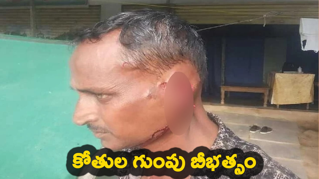 వానర గుంపు బీభత్సం.. రైతుపై దాడి చేసి చెవిని కొరికి ఎత్తుకుపోయిన కోతులు..!