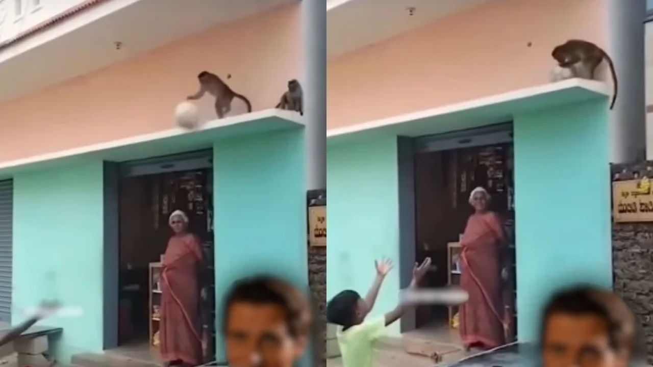 Viral Video: ఈ వీడియో చూస్తే మీకు తెలియకుండానే పెదవులపై చిరునవ్వు పుడుతుంది..