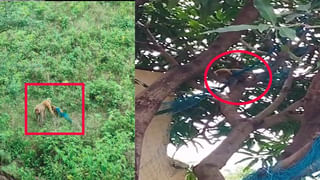 Hyderabad: స్పెషల్‌ ఆపరేషన్‌ చేపట్టిన ఏసీబీ.. 18 బృందాలతో కొనసాగుతున్న సోదాలు..!