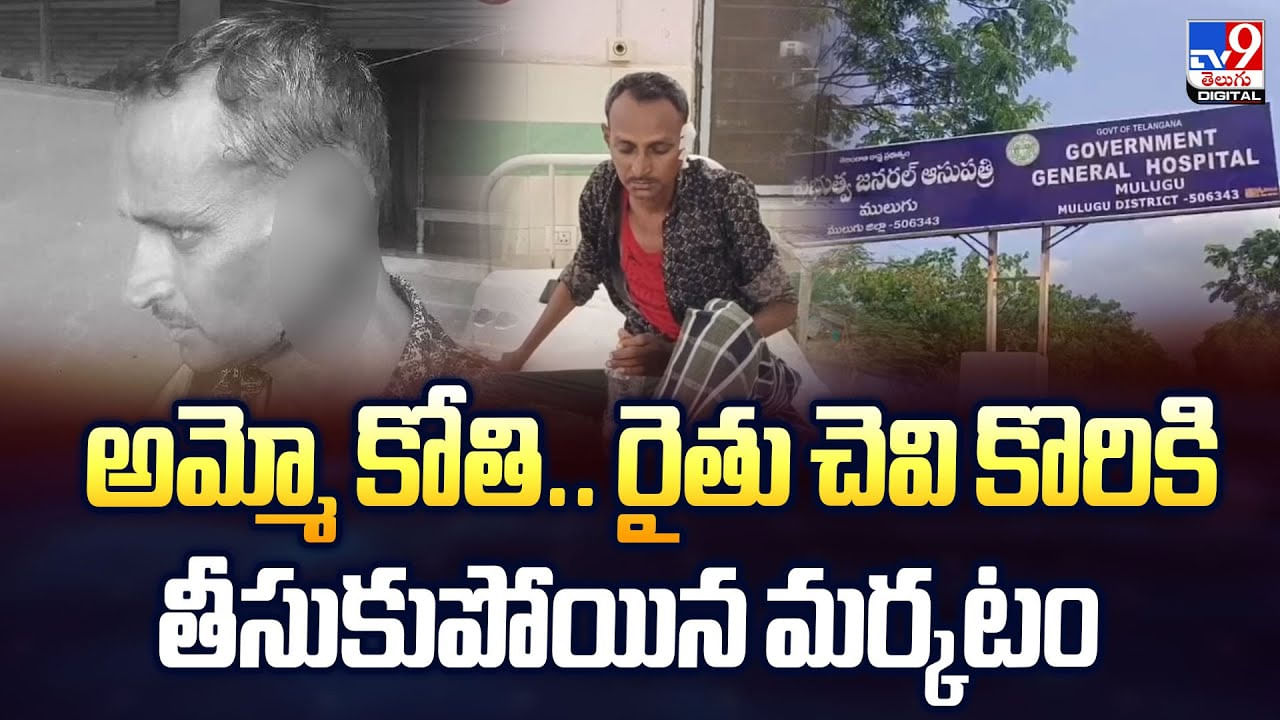 అమ్మో కోతి.. రైతు చెవి కొరికి తీసుకుపోయిన మర్కటం