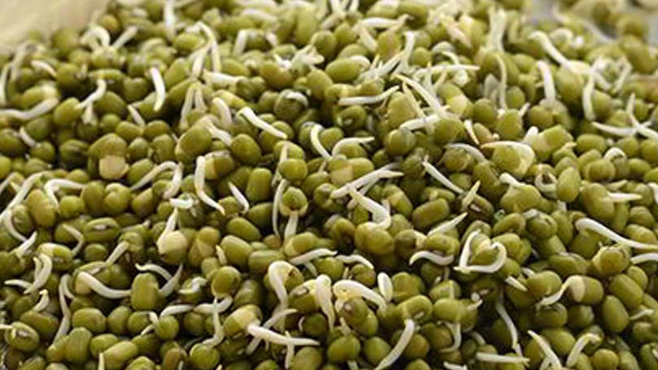 అధిక యూరిక్ యాసిడ్ ఉన్న వ్యక్తులు: ఎవరైనా అధిక యూరిక్ యాసిడ్ స్థాయితో ఇబ్బంది పడుతుంటే.. పెసలు తినొద్దు. ఈ పెసర పప్పులో అధిక మొత్తంలో ప్రోటీన్ ఉంటుంది. ఇది అధిక యూరిక్ యాసిడ్ స్థాయి  ఉన్నవారికి హానికరం. కనుక యూరిక్ యాసిడ్ సమస్య ఉన్న వ్యక్తులు పెసలను తక్కువగా తినడం మంచిది.
